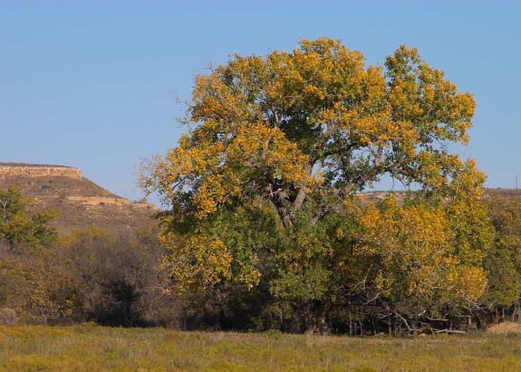 Hemphill County, Texas