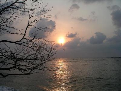 u43/robburvill/medium/28173322.KochinSunset.jpg