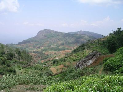 u43/robburvill/medium/28257627.NilgiriHills.jpg