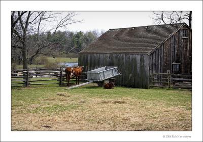 PC-Cow  Barn.jpg