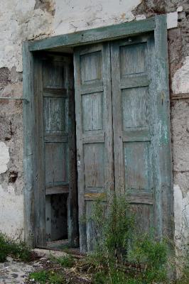 Old blue doors with green plant