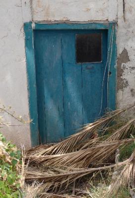 Blue door with old leaves