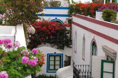 Nature in Puerto de Mogan