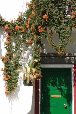 Orange over green door