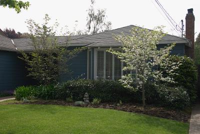 Dogwood trees at the front