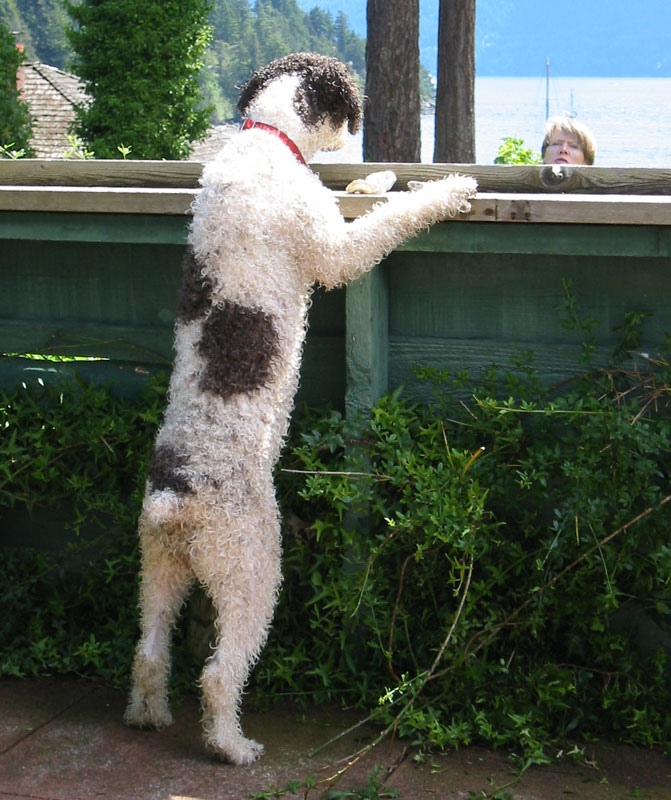 Juanita checking up on the neighbours