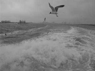 hightide