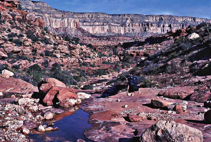 Along Royal Arch