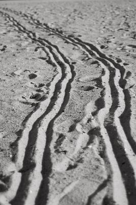 sand trail_bw.jpg