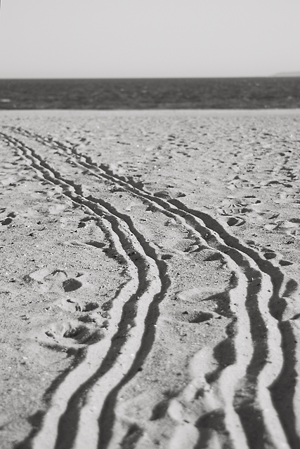 sand trail b_bw.jpg