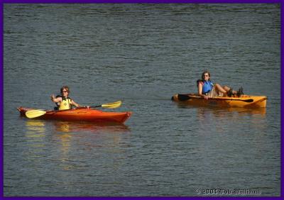 On The Susquehanna at Owego.JPG