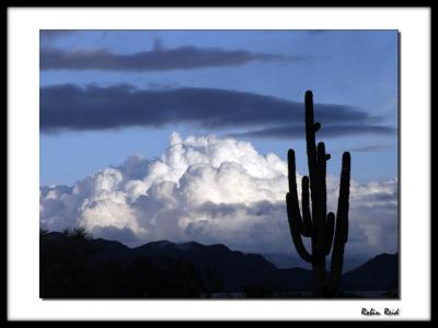 Arizona Sunset