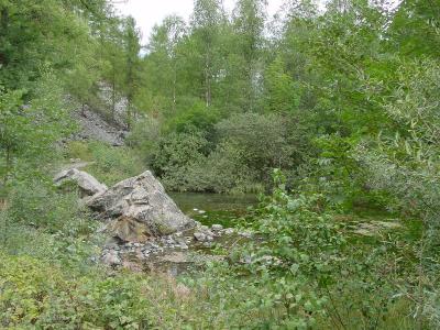DSC03954.JPG