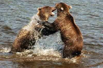 Alaska