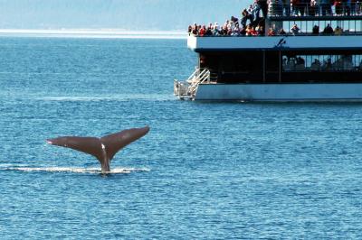 humpback.jpg
