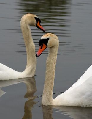 CRW_7742pf.jpg