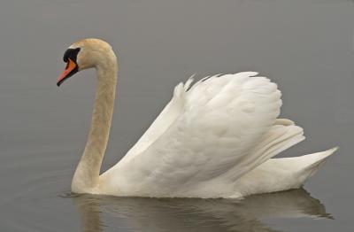 CRW_7744pf.jpg
