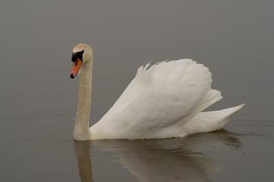CRW_7748pf.jpg