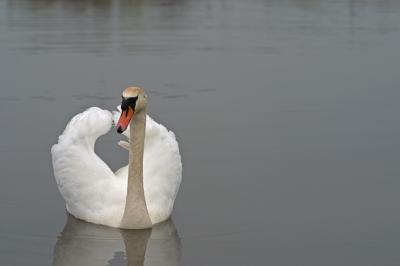 CRW_7749pf.jpg