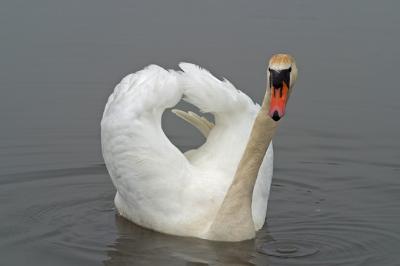 CRW_7771pf.jpg