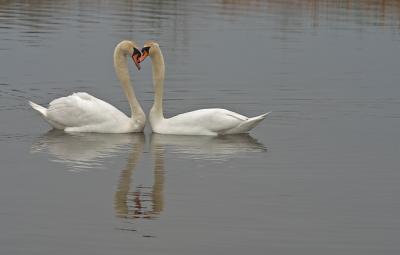 CRW_7784pf.jpg