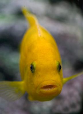CRW_7870pf.jpg (100/2.8)