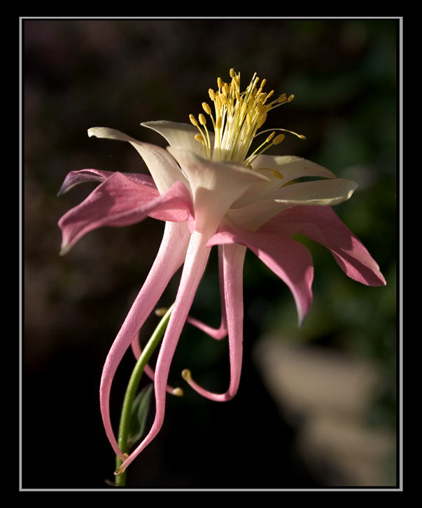 aCRW_4845.jpg