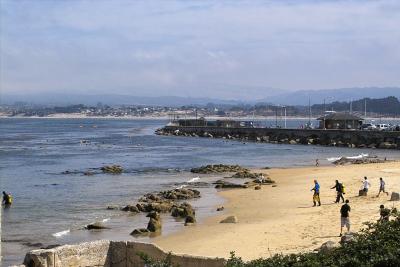 IMG00203.jpg Monterey town beach