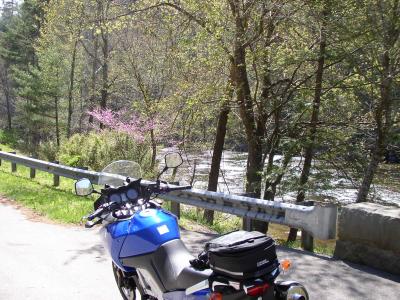 Also near the start of the Cherohala on the Tennessee side