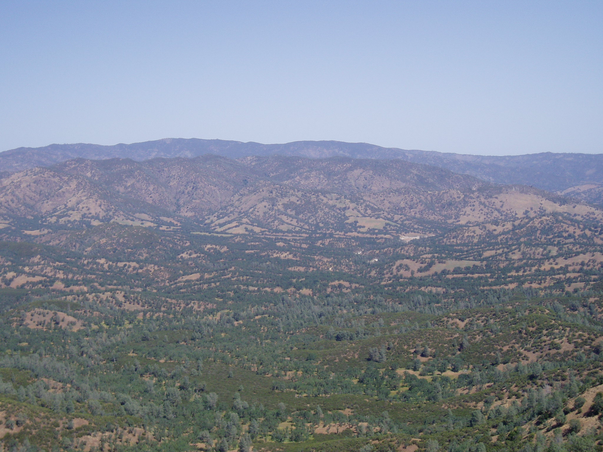 Looking towards highest point in park