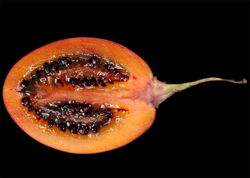 Tamarillo