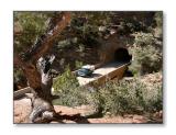 <b>The Zion Tunnel</b><br><font size=2>Zion Natl Park, UT
