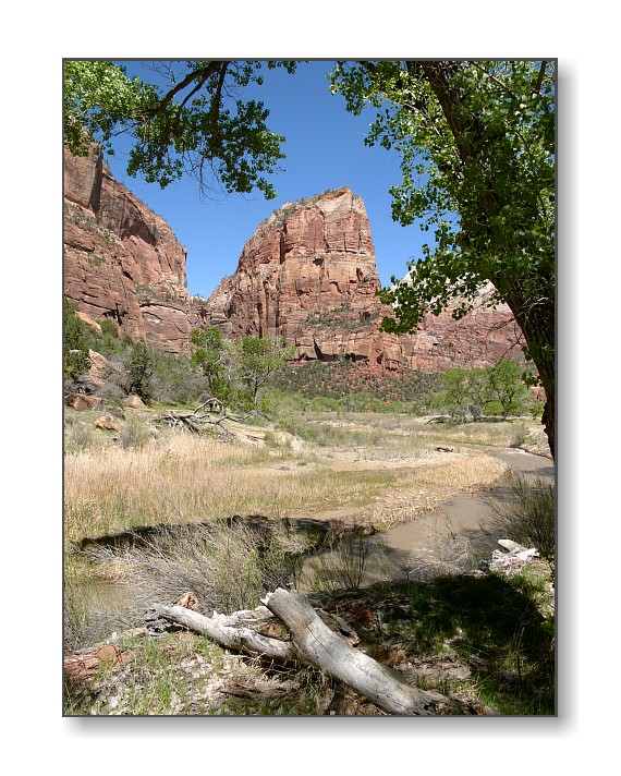 Angel's LandingZion Nat'l Park, UT