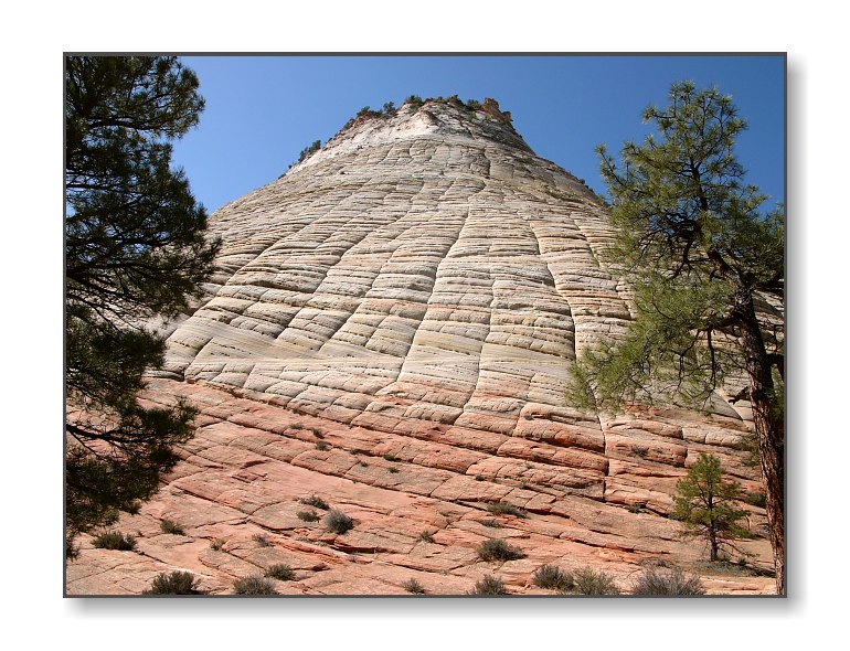 Checkerboard MesaZion Nat'l Park, UT