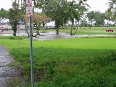 Piopio St, near Wailoa Park