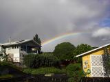 Hilo rainbow