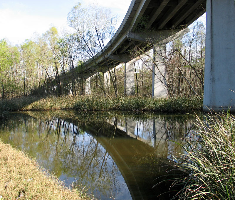 Highway in the Louisiana swamp
