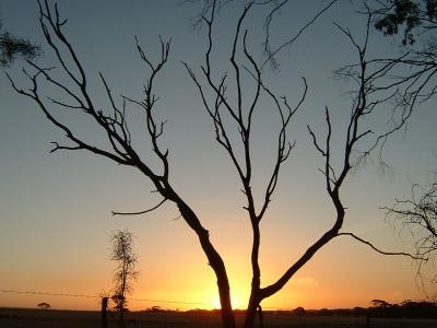 As the Sun Goes Down