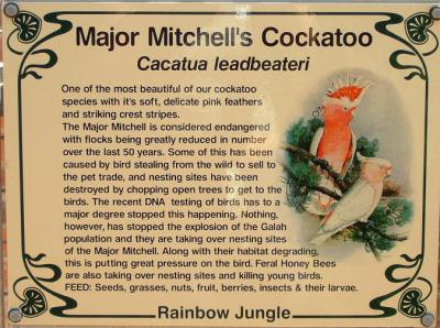 Major Mitchells Cockatoo Sign