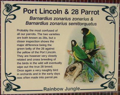 Port Lincoln and 28 Parrot