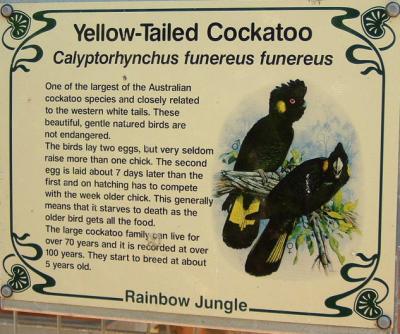 Yellow-Tailed Cockatoo Sign