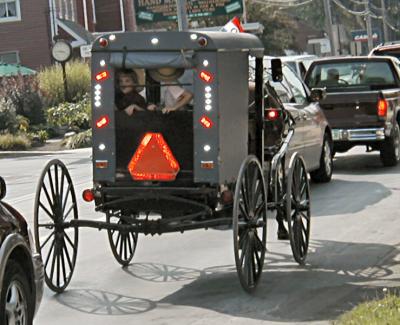 Amish buggy and children