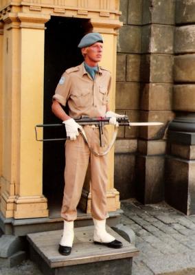 Stockholm-Palace Guard.jpg