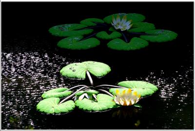 Lily Pad Sculpture
