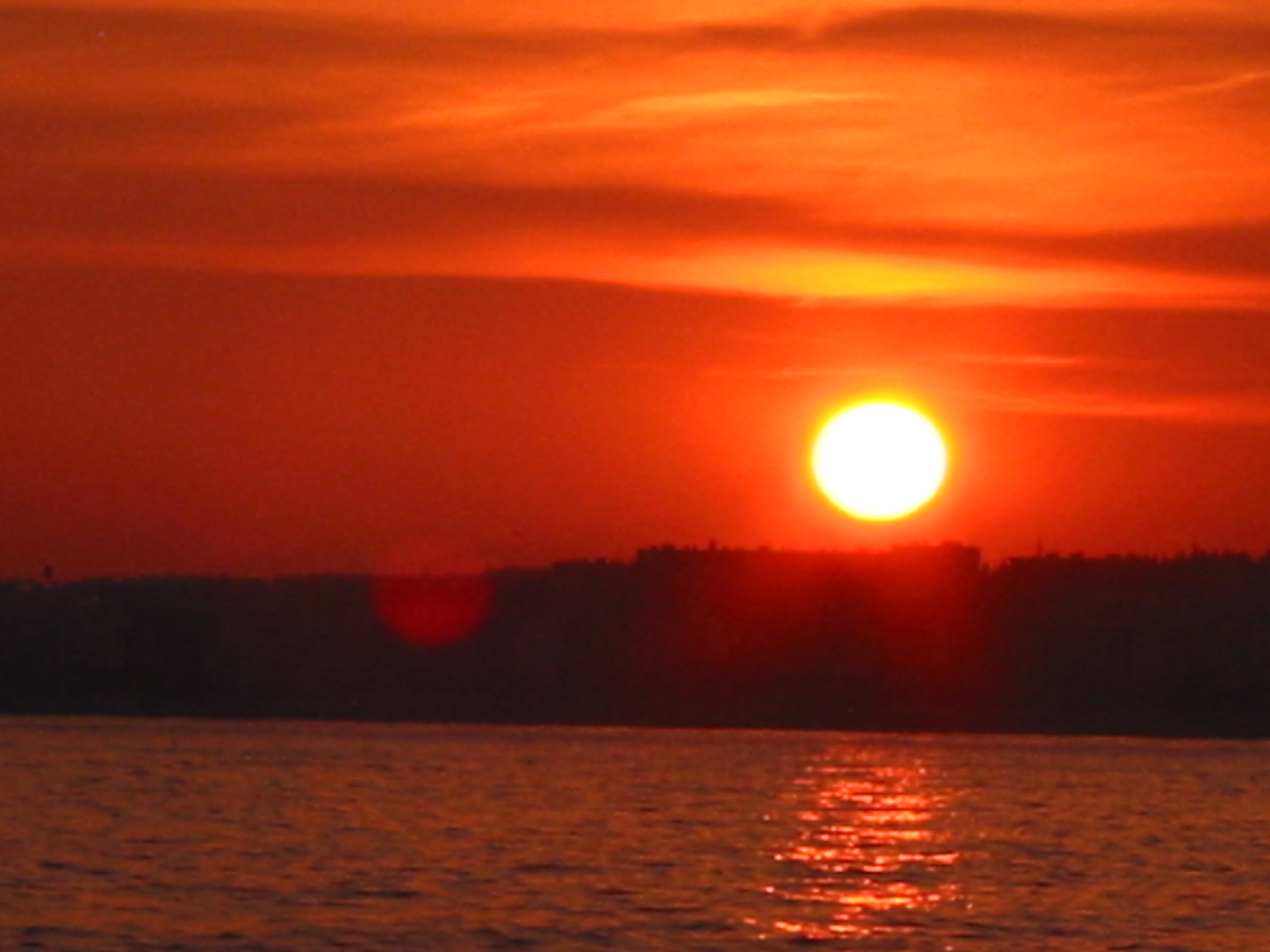 IMG_5529.JPG