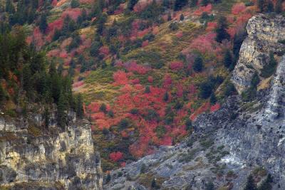 Crimson Valley