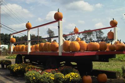 Pumpkin Ride