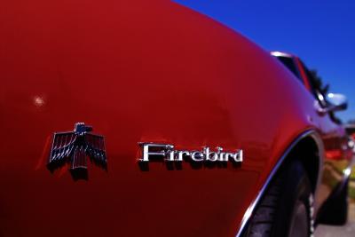 Firebird