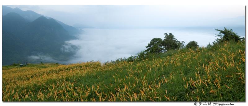 DSC_0495_6.jpg