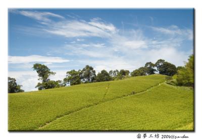DSC_0564.jpg